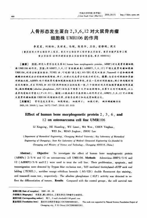 人骨形态发生蛋白2,3,6,12对大鼠骨肉瘤细胞株UMR106的作用