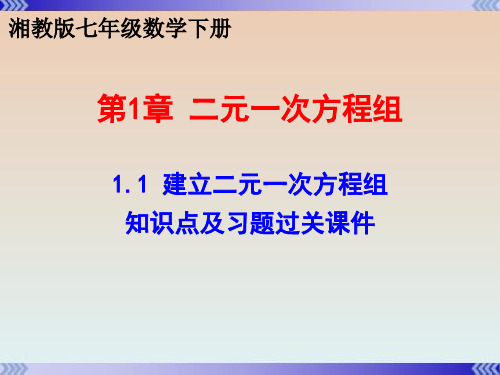 湘教版七年级数学下册第一章1.1建立二元一次方程组知识点与习题教学课件