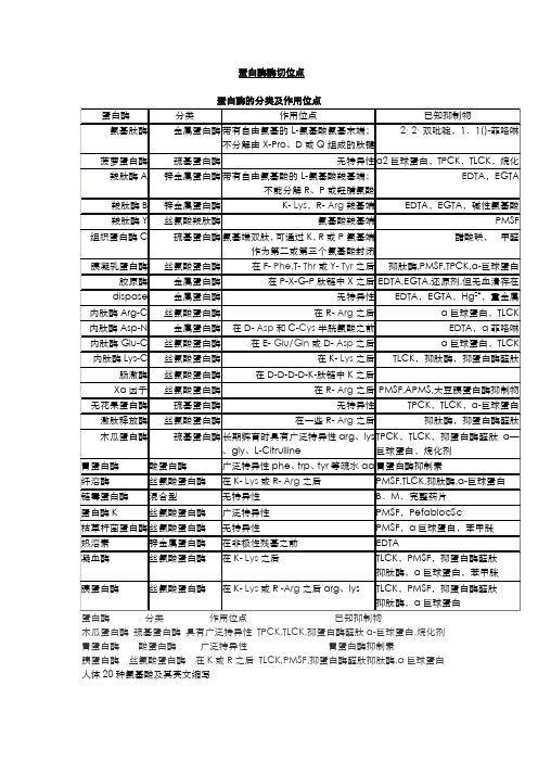 蛋白酶酶切位点