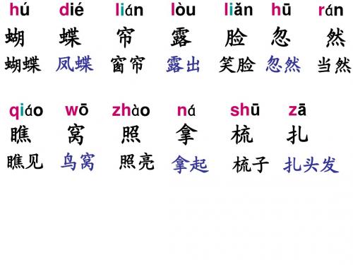 蝴蝶花生字