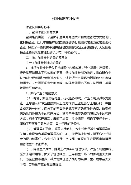 作业长制学习心得