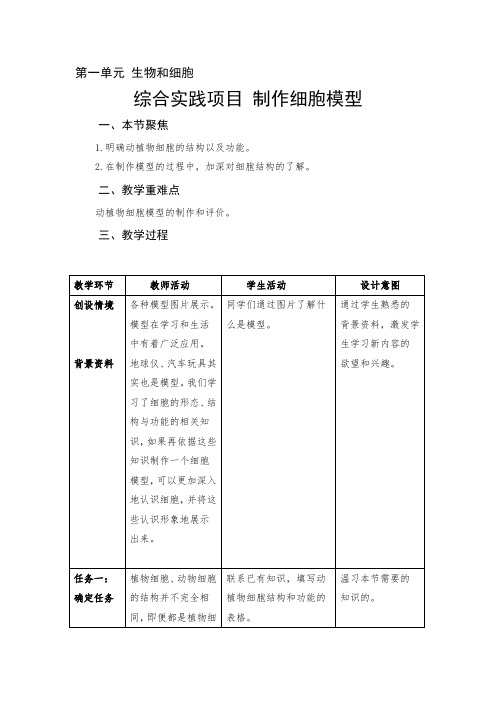 综合实践项目(一)制作细胞模型教案-2024--2025学年人教版七年级生物学上册