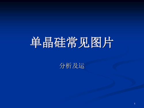 单晶材料图片以及工艺图片展示4PPT课件