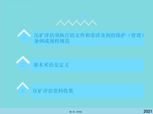 重庆市建设项目压覆矿产资源评估技术要求图文(共76张PPT)