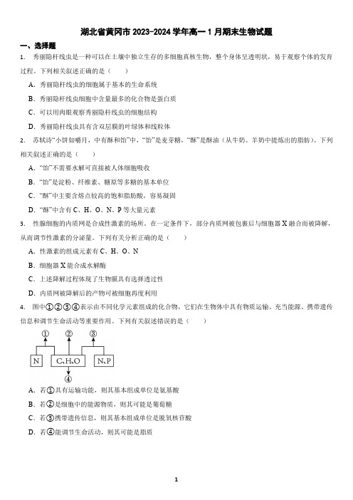 湖北省黄冈市2023-2024学年高一1月期末生物试题