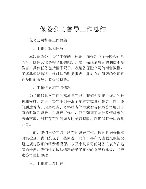 保险公司督导工作总结