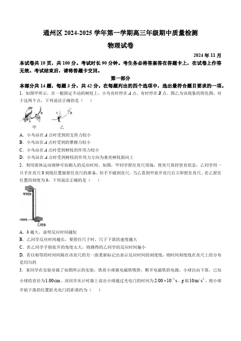 北京市通州区2024-2025学年高三上学期期中物理试卷(含答案)