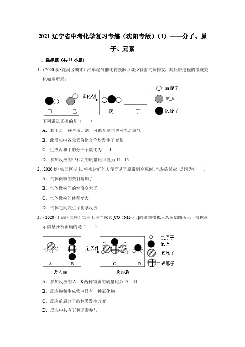 2021辽宁省中考化学复习专练(沈阳专版)(1)——分子、原子、元素