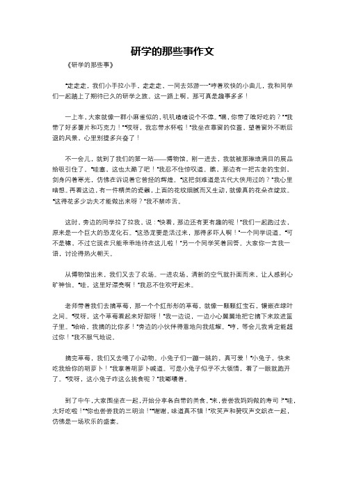 研学的那些事作文