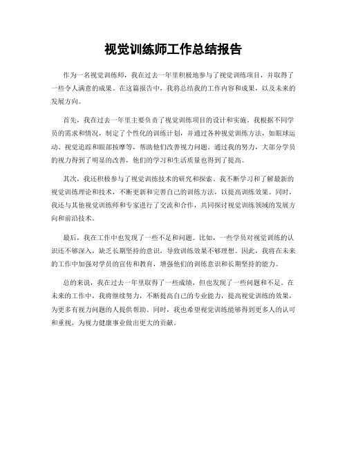 视觉训练师工作总结报告