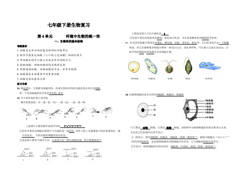 七年级生物下册教案-5.14.2 生物检索表5-苏科版