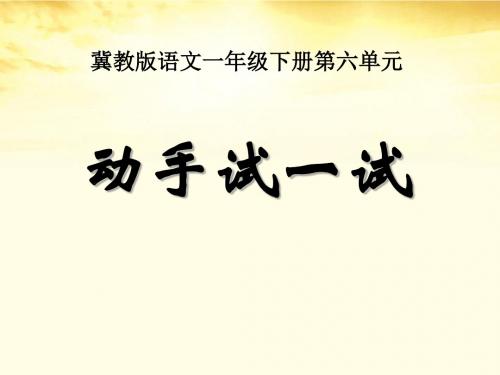 《动手试一试》PPT课件 (共12张PPT)