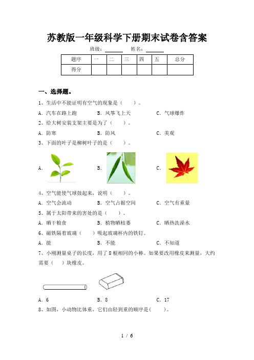 苏教版一年级科学下册期末试卷含答案