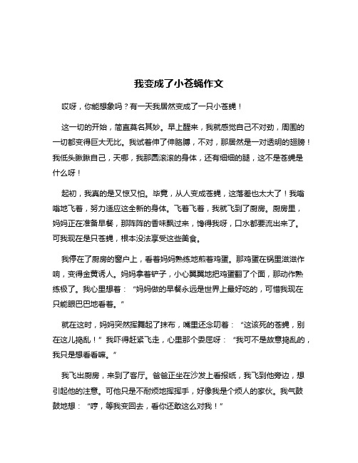 我变成了小苍蝇作文