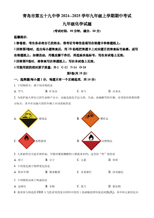 山东省青岛市第五十九中学2024--2025学年九年级上学期期中考试化学试卷(含答案)