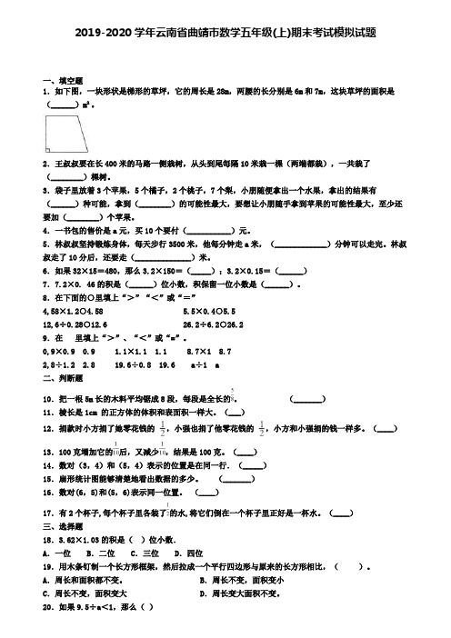 2019-2020学年云南省曲靖市数学五年级(上)期末考试模拟试题