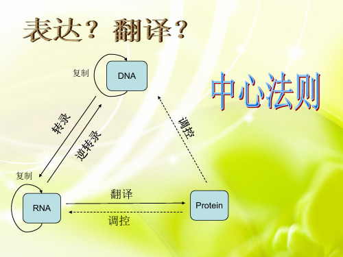 逆转录病毒