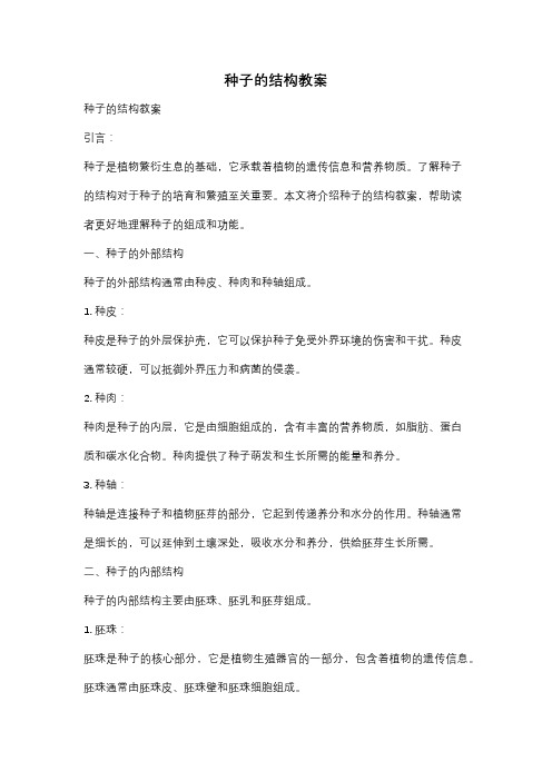 种子的结构教案