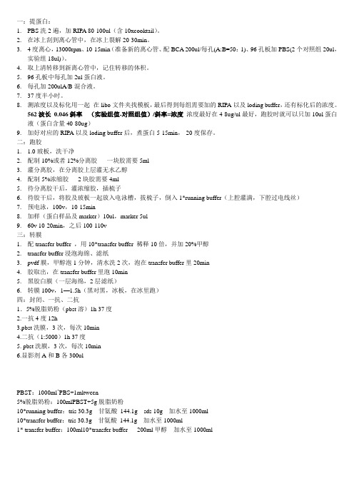 western blot 全过程 详细步骤