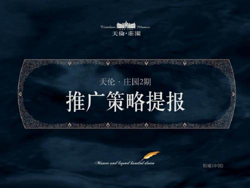 3.17天伦·庄园2期策略提报