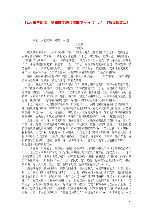 高考语文一轮 课时专练(十九) 散文阅读二 新人教版