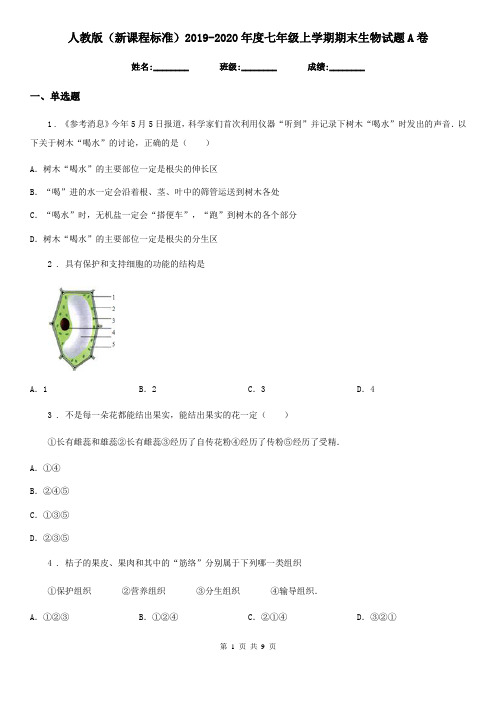 人教版(新课程标准)2019-2020年度七年级上学期期末生物试题A卷(练习)