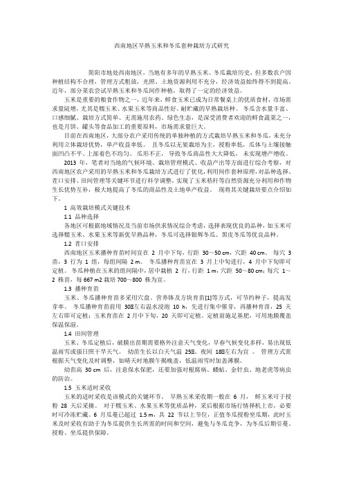 西南地区早熟玉米和冬瓜套种栽培方式研究
