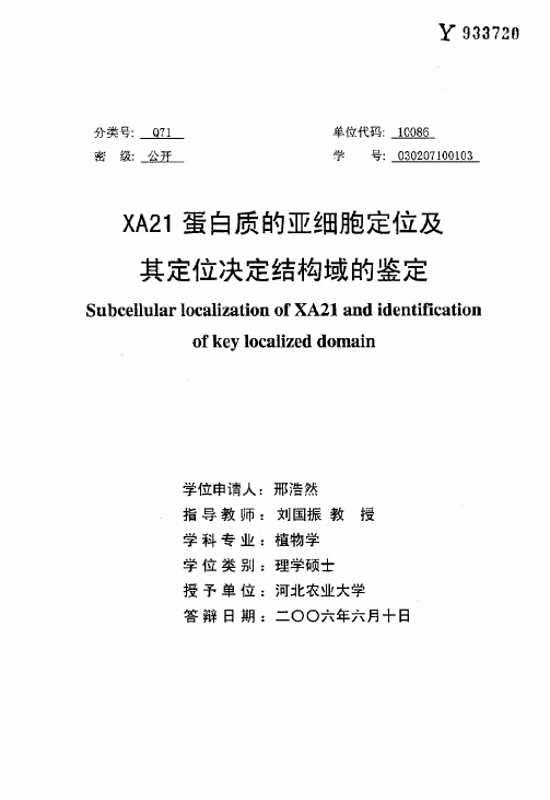 XA21蛋白质的亚细胞定位及其定位决定结构域的鉴定