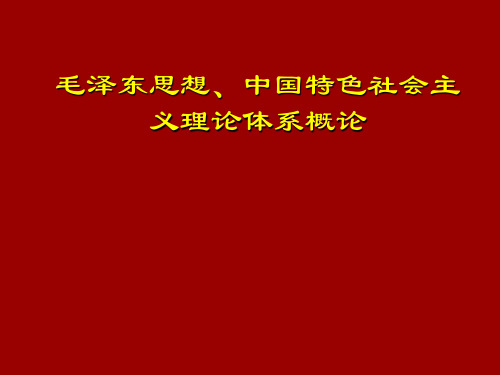 中国特色社会主义理论体系课件