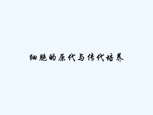 细胞的原代与传代培养-PPT