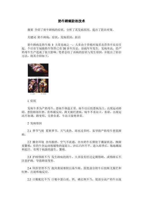 奶牛蹄病防治技术