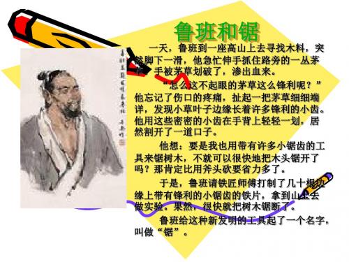 青岛版小学科学《生物的启示》课件
