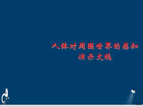 人体对周围世界的感知演示文稿