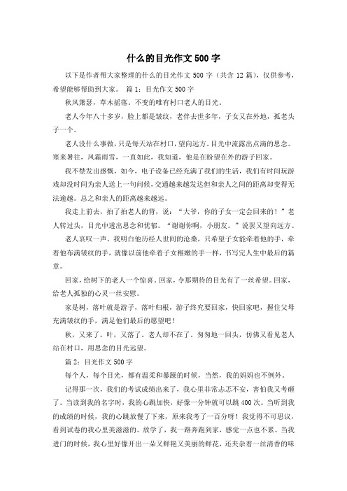 什么的目光作文500字