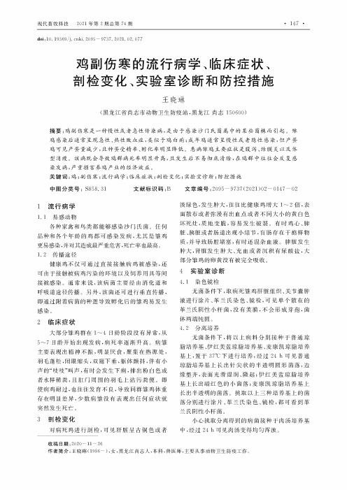 鸡副伤寒的流行病学、临床症状、剖检变化、实验室诊断和防控措施