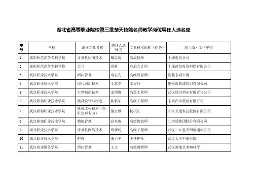 湖北省高等职业院校第三批楚天技能名师教学岗位聘任人选名单