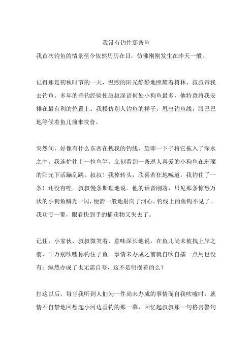 我没有钓住那条鱼