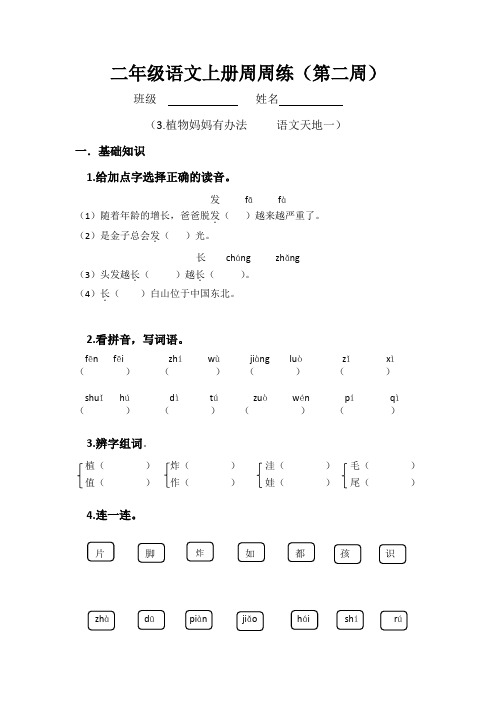 二年级语文上册周周练(第二周)