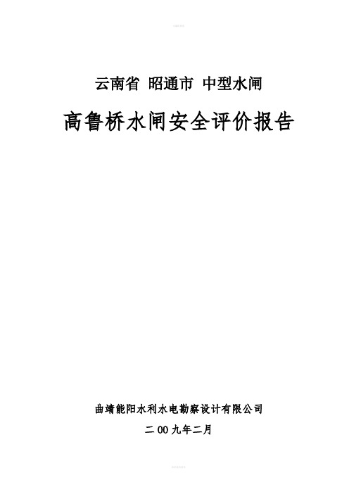 水闸安全评价报告