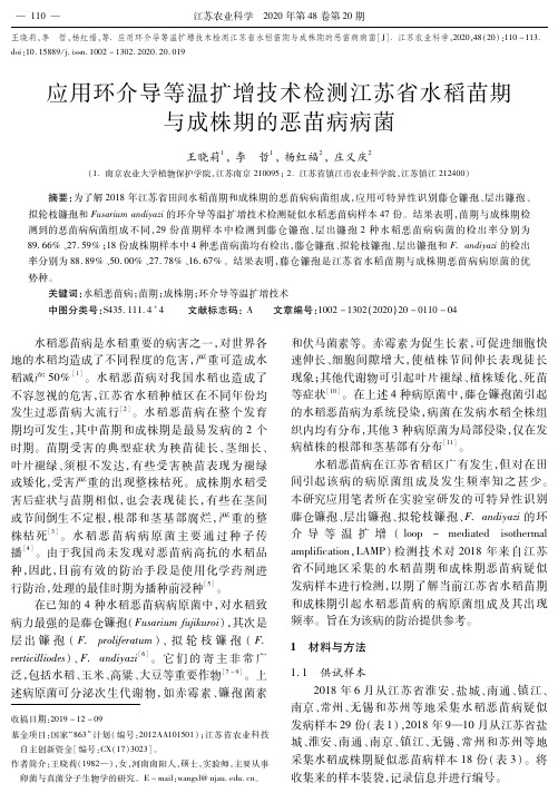 应用环介导等温扩增技术检测江苏省水稻苗期与成株期的恶苗病病菌