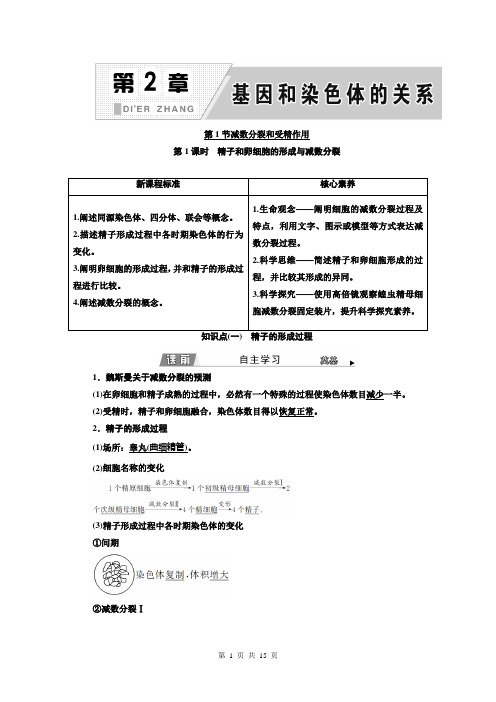 高中生物人教版(2019)必修2学案第1课时精子和卵细胞的形成与减数分裂