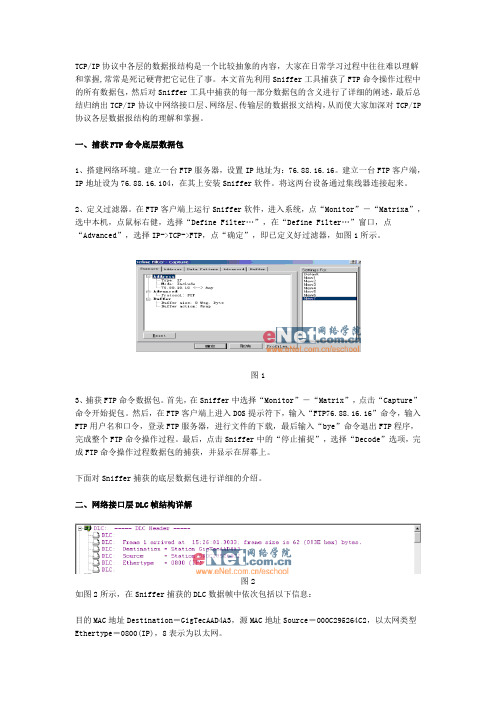 IP协议解码详解