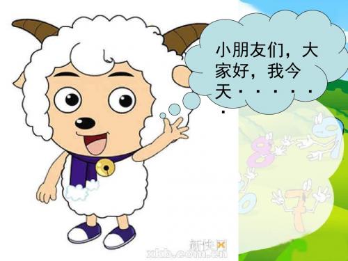 公开课 《舌头的秘密》课件1