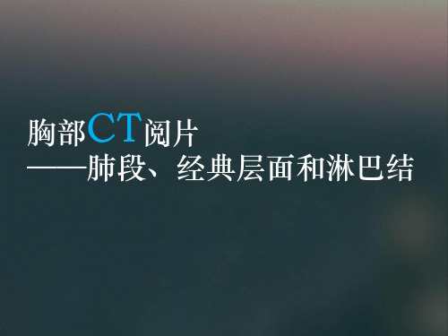 《胸部ct阅片》ppt课件