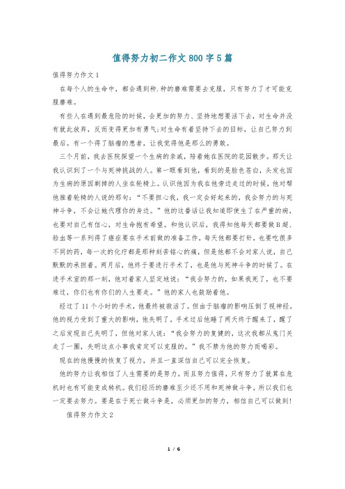 值得努力初二作文800字5篇