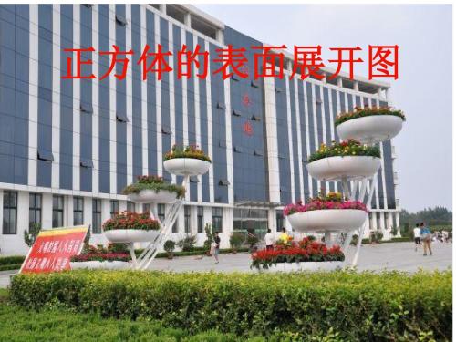 正方体的11种展开图