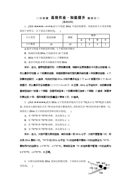 2021版高考生物(人教版)一轮复习高效作业知能提升：第六单元 第18讲 DNA分子的结构、复制及基因的本质 