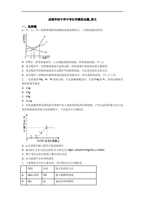 成都华西中学中考化学模拟试题_图文