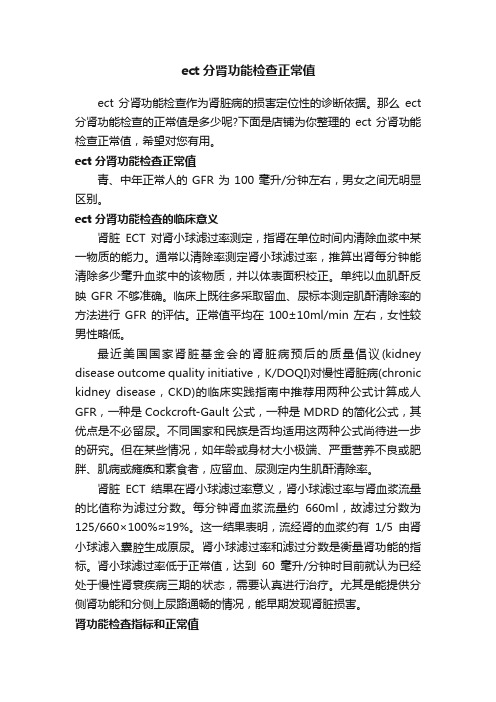 ect分肾功能检查正常值