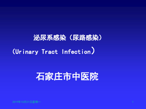 泌尿系感染(尿路感染) PPT课件